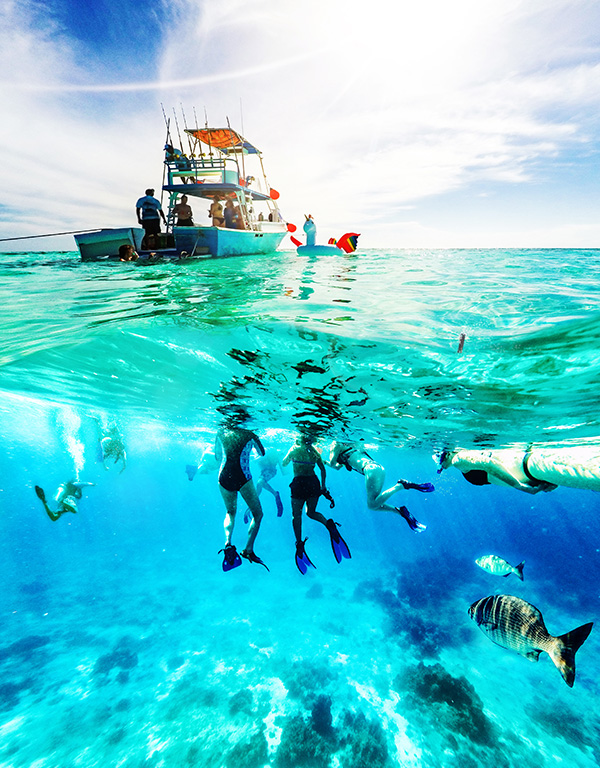 ¡Explora la vida bajo el mar!