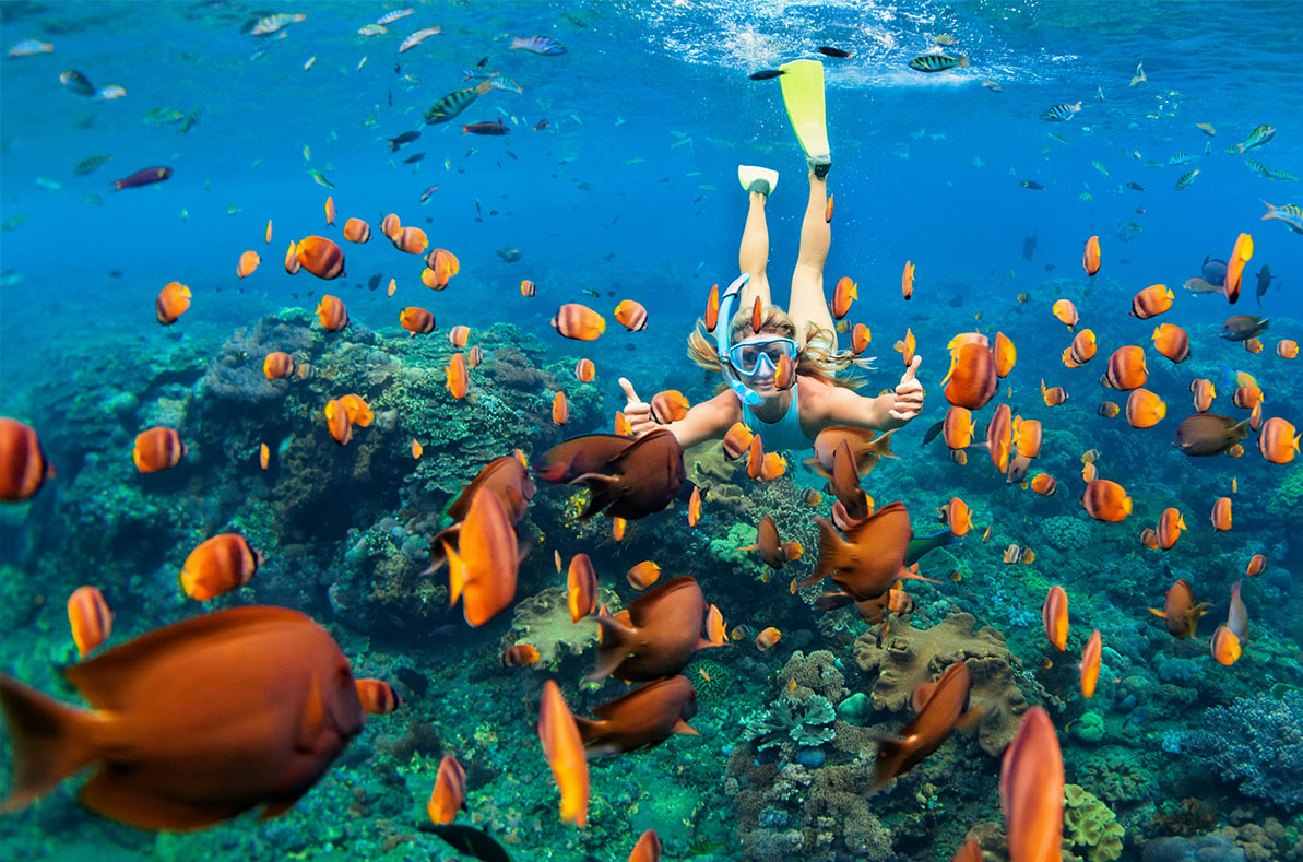 Samana Fishes