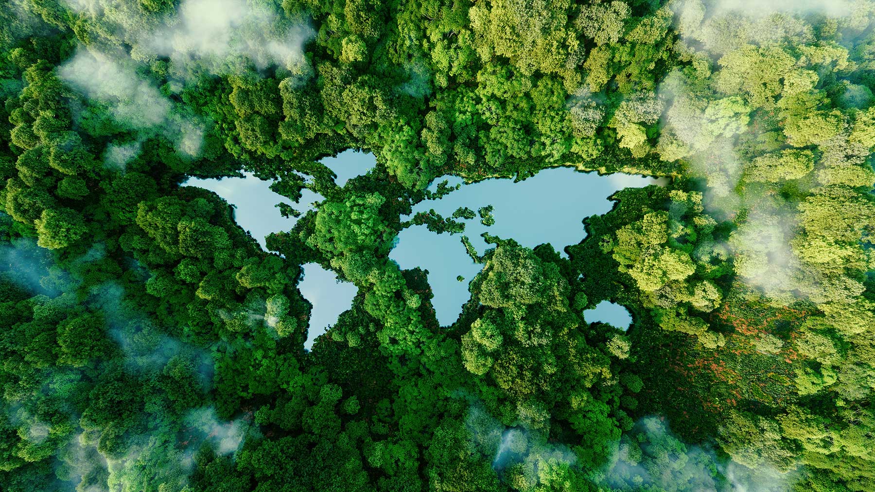 Video sobre Sostenibilidad empresarial