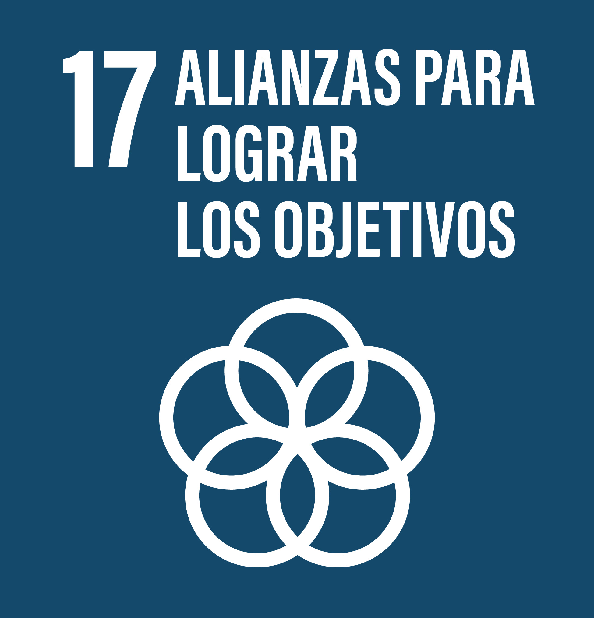 objetivos goal
